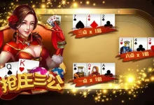 【大发娱乐】三公游戏全新体验，挑战你的刺激感官！-博狗扑克 蜗牛扑克 德州扑克跟我学