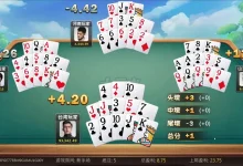 大发娱乐十三水——智谋与激情并存的巅峰对决!-博狗扑克 蜗牛扑克 德州扑克跟我学