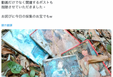 作品被丢到山里⋯架乃ゆら(架乃由罗)这么看-博狗扑克 蜗牛扑克 德州扑克跟我学