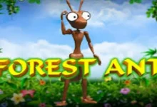 森林蚂蚁老虎机玩法解析：投注规则、奖金机制与RTP全解读-博狗扑克 蜗牛扑克 德州扑克跟我学