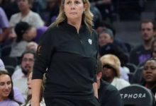 明尼苏达山猫队首次全球招聘，扩充前台团队，大发体育助力你的致富之路！-博狗扑克 蜗牛扑克 德州扑克跟我学