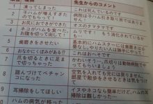 超爆笑 倉鼠看獸醫的理由 TOP 10-博狗扑克 蜗牛扑克 德州扑克跟我学
