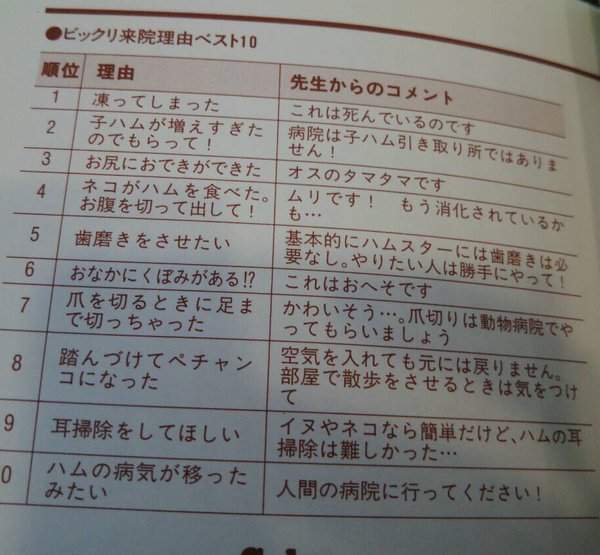 超爆笑　倉鼠看獸醫的理由 TOP 10