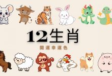 幸运十二生肖老虎机｜文化与娱乐的完美融合-博狗扑克 蜗牛扑克 德州扑克跟我学