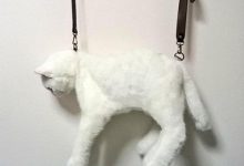 《超逼真貓咪包》欸欸你怎麼背著一隻貓咪出門啊 Σ(ﾟДﾟ)-博狗扑克 蜗牛扑克 德州扑克跟我学