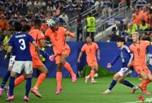 德国7-1狂胜库拉索，日本2-2绝平荷兰——世界杯再掀进球狂潮，大发体育助力你的致富之路！-博狗扑克 蜗牛扑克 德州扑克跟我学