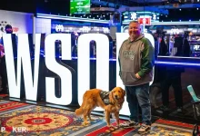 【EV扑克】带着金毛打WSOP？“没有它，我可能会死在牌桌上”-博狗扑克 蜗牛扑克 德州扑克跟我学