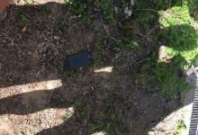 失主手機桌面太狂！拾獲者爲「保護」家母狠心棄之不顧-博狗扑克 蜗牛扑克 德州扑克跟我学