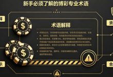 什么是“洗码”?新手必须了解的博彩专业术语-博狗扑克 蜗牛扑克 德州扑克跟我学